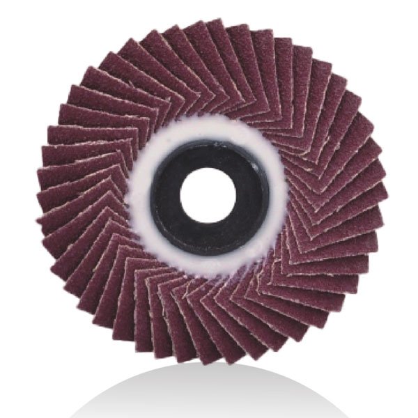 Flexible Flap Disc